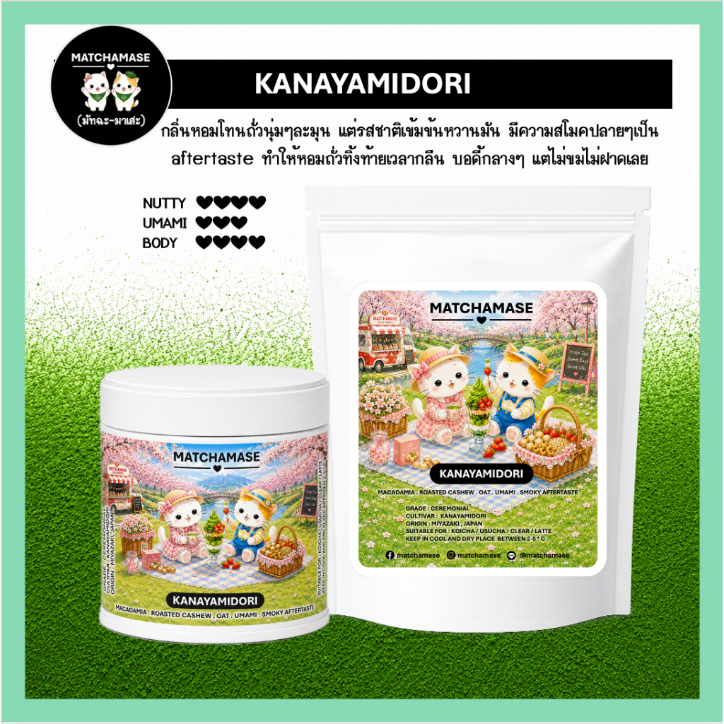 ถั่วนุ่มหอมมัน KANAYAMIDORI MATCHA - MATCHAMASE (มัทฉะมาเสะ)