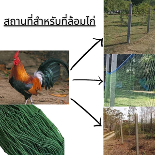 20 เมตร ตาข่ายล้อมไก่ อวนล้อมไก่ อวนไก่ ตาข่ายปลูกผัก ดักสัตว์ โปลี กรงนก กันงู กันนก กันแมว