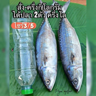ปลาทูมันหอมเค็มน้อย 3-4ตัวโล มีไซร้ใหญ่ๆ เลือกไซร้ได้ เนื้อเเน่นทำสดใหม่ ไม่ตุไม่เละ ทำใหม่ทุกวัน เค็มน้อยดองเกลือ1คืน