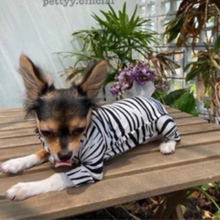 ชุดกันขนร่วงสำหรับแมวและสุนัขส่งเร็ว