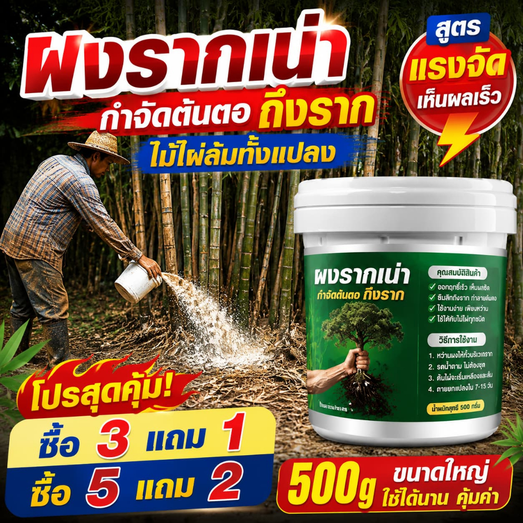 💥ผงกำจัดกอไผ่ สูตรพิเศษ💥ยาฆ่าหญ้าผง ซึมลึกถึงรากใหญ่ รากเน่าตาย ไม่โตกลับ ขนาด500g กำจัดวัชพืช ต้นไม้ขนาดเล็ก