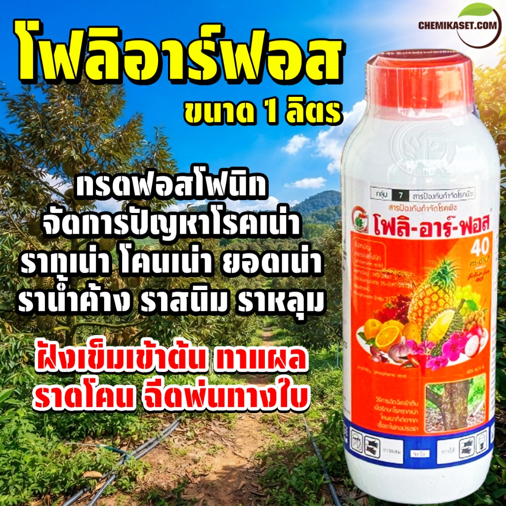 โฟลิอาร์ฟอส ขนาด 1 ลิตร กรดฟอสโฟนิก ฝังเข็มต้นทุเรียน กำจัดเชื้อรา รากเน่า โคนเน่า ยอดเน่า ของแท้