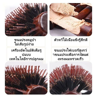 หวีม้วนผมไม้เนื้อแข็ง + หวีไดร์เป่าผมทนความร้อน หวีขนหมูป่าพรีเมียม จัดแต่งทรงผมมืออาชีพ เครื่องมือสไตล์ด่วน