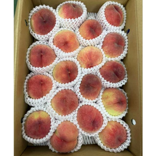 🍑 Premium Fukushima Peach - ลูกพีชญี่ปุ่นแท้ นำเข้าจากเมืองฟุกุชิมะ