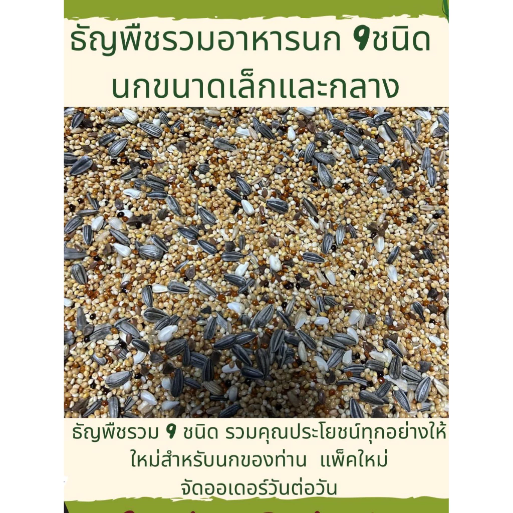 ธัญพืช 13ชนิด (แบ่งขาย 500 G. - 1 KG.) อาหารนก แก้วขนาดเล็ก-เลิฟเบิร์ด ค็อกเทล