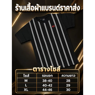 •รวมเสื้อยืดแบรนด์ขนาดไซส์ M L XL ผ้าCotton
