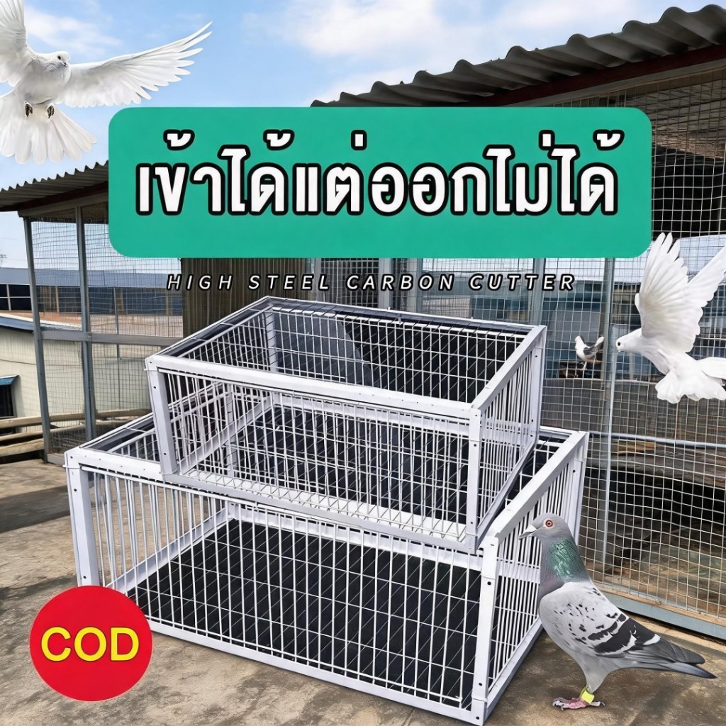 เพนียดดักนก กรงดักนก กรงกับดักนกพิราบ กรกดักนกเขา กรงดักแมว เหมาะสำหรับจับตัวเงินตัวทอง