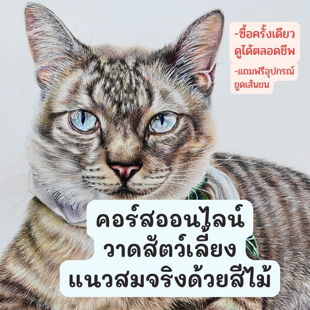 คอร์สออนไลน์วาดสัตว์เลี้ยงเหมือนจริงเทคนิคสีไม้