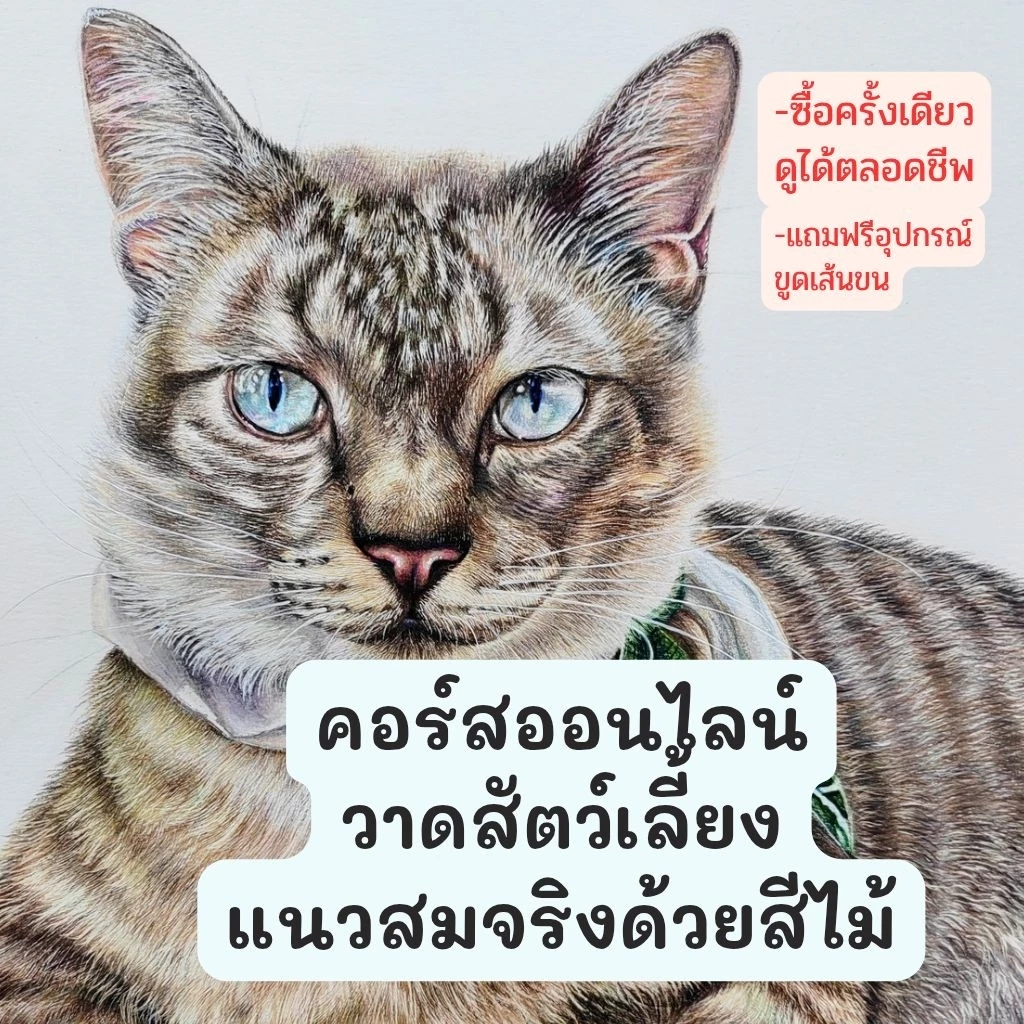 คอร์สออนไลน์วาดสัตว์เลี้ยงเหมือนจริงเทคนิคสีไม้