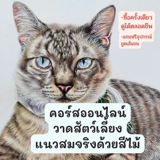 คอร์สออนไลน์วาดสัตว์เลี้ยงเหมือนจริงเทคนิคสีไม้