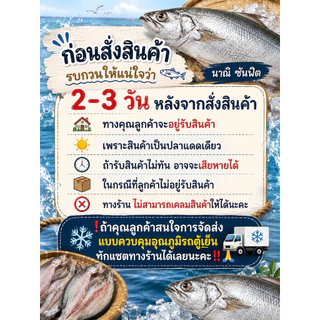 ปลากุเลา(ตัดหัว)แดดเดียว(เกรดส่งออกคัดพิเศษ)ไซส์ 2-3 ตัว น้ำหนัก 500กรัม(สูตรเค็มน้อย)อวนลอยธรรมชาติ สะอาด อร่อย