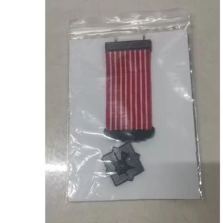 เหรียญ พิทักษ์เสรีชน