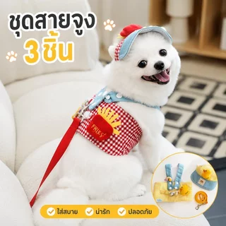 ชุดแมว 3pcs สายจูงแมว สายจูงสุนัข ชุดหมา กลางแจ้ง ระบายอากาศได้ดีและสะดวกสบาย สายจูง
