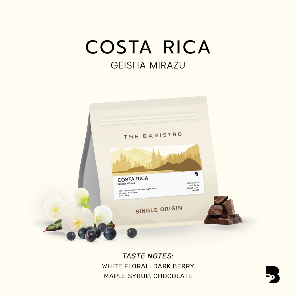 เมล็ดกาแฟ คั่วอ่อน - Costa Rica Geisha Mirazu