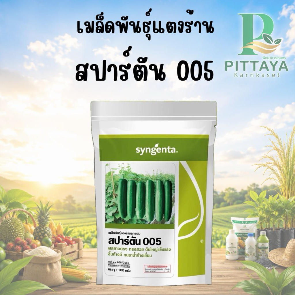 ( หมดอายุ 01-71 )แตงร้าน สปาร์ตัน 005 บรรจุ 3000 เมล็ด ตรา ซินเจนทา ( ล็อตใหม่ )