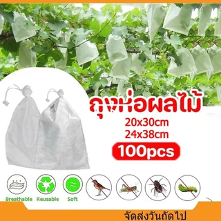 ถุงห่อผลไม้ 100 ใบ มีเชือกมัดในตัว เหมาะห่อมะม่วง ฝรั่ง ป้องกันแมลง เพลี้ยและแสงแดด ไม่จำเป็นต้องห่อกระดาษซ้อนอีกชั้น