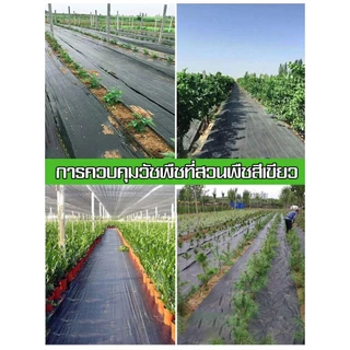 พลาสติกคลุมดิน ผ้าคลุมวัชพืช(เกรด A) ผ้าคลุมดิน พลาสติกคลุมวัชพืช 1×50 1×100 2×50 2×100 ป้องกันรังสี หมดปัญหาหญ้าขึ้นกวน