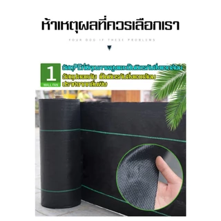 พลาสติกคลุมดิน ผ้าคลุมวัชพืช(เกรด A) ผ้าคลุมดิน พลาสติกคลุมวัชพืช 1×50 1×100 2×50 2×100 ป้องกันรังสี หมดปัญหาหญ้าขึ้นกวน