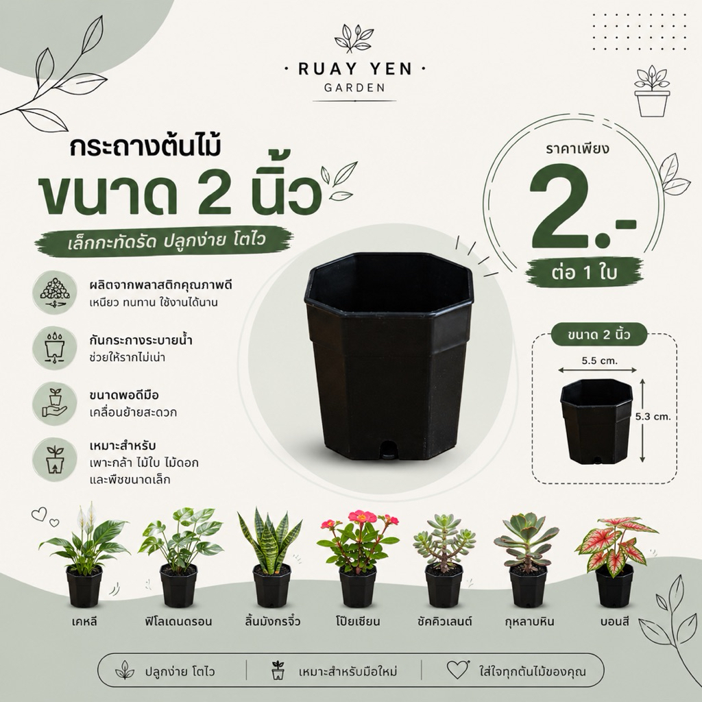 กระถางต้นไม้ 2 นิ้ว กระถางแคคตัส Succulent pot 2 inches