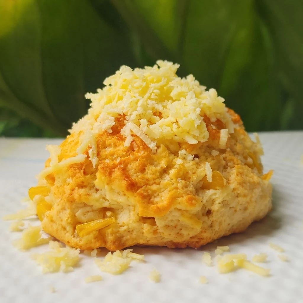 Biscuit บิสกิตไซส์ยักษ์ใหญ่ไจแอนด์ (บิสกิตบัตเตอร์ฮันนี่/บิสกิตเบค่อนชีส/รัมผลไม้/คุกกี้แอนด์ครีม)