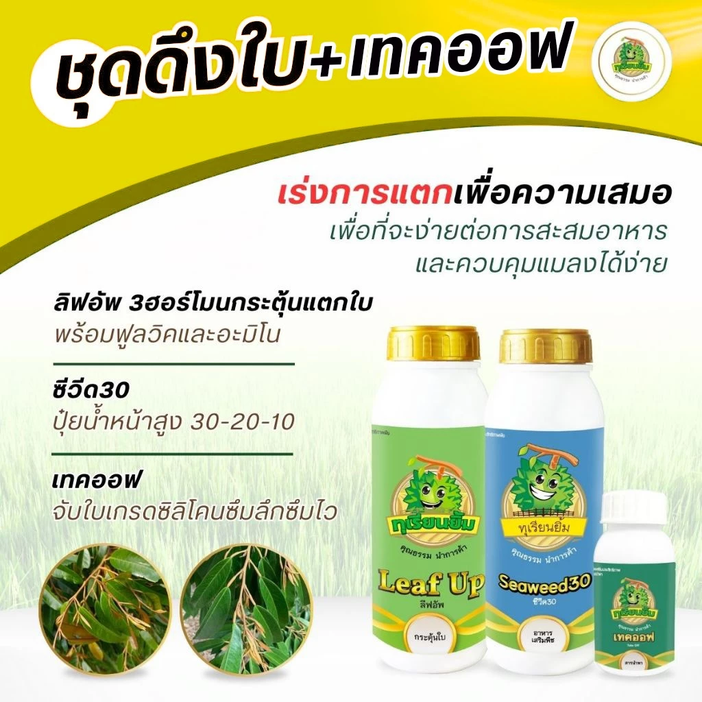 ชุดดึงใบ+เทคออฟ เร่งการแตกเพื่อความเสมอ เพื่อที่จะง่ายต่อการสะสมอาหาร และควบคุมแมลงได้ง่าย
