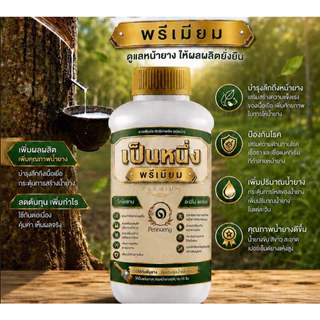 ปุ๋ยทาหน้ายางเป็นหนึ่งพรีเมียม สูตรฝาทอง 15 ปีขึ้นไป ขนาด500cc เพิ่มสารสกัดอะมิโน+ไคโตซาน เพิ่มเปอร์เซ็นต์น้ำยาง