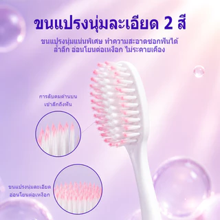 🔥【สินค้าขายดี】ชุดแปรงสีฟันพรีเมียมสำหรับผู้ใหญ่ (12 ด้าม) ขนแปรงนุ่ม ทำความสะอาดล้ำลึก อ่อนโยนต่อเหงือก
