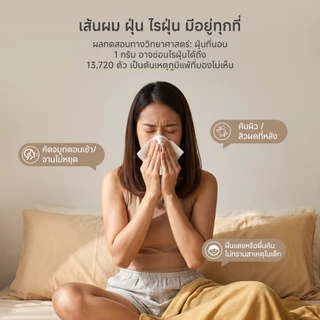 Simplus เครื่องกำจัดไรฝุ่น 14000pa , กำจัดไร , ตีด้วยความถี่สูง , ดูดฝุ่นบนเตียง CMYH004