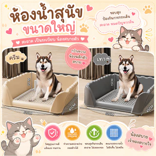 🌵 ถาดรองฉี่ ห้องน้ำหมา สุนัข แบบขอบสูง ถาดฉี่สุนัข (มีเสาถอดได้) มีตะแกรงรองถาด ถาดฝึกฉี่สุนัข 🌵