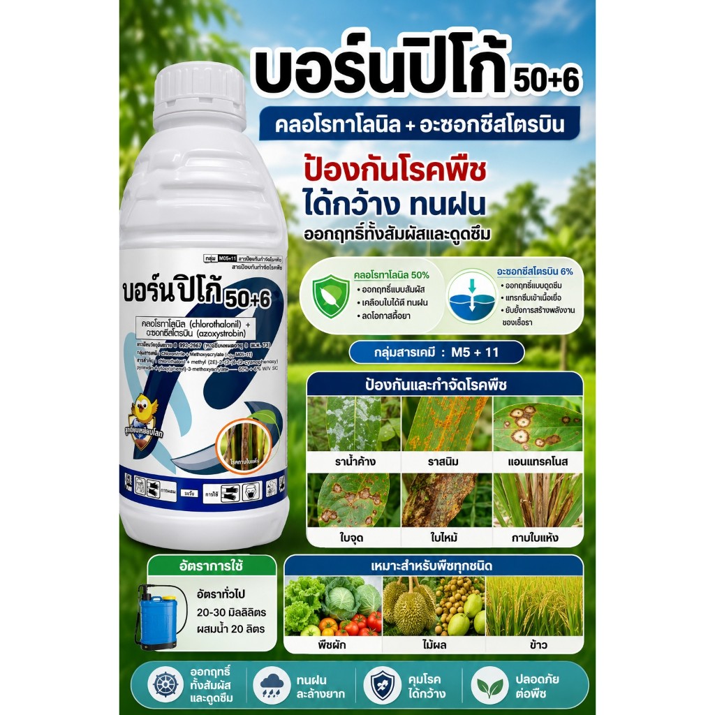 บอร์นปิโก้ ขนาด 1 ลิตร คลอโรทาโลนิล 50% + อะซอกซีสโตรบิน 6% SC(กลุ่ม M5 + 11) โรคราแป้ง โรคใบจุด โรคแอนแทรคโนส