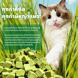 PET RECORD ฟรีซดรายหญ้าแมว 50กรัม ขนมแมวขับก้อนขน สูตรไก่ไข่แดง ช่วยระบายขน บำรุงลำไส้ แมวกินง่าย ไม่ต้องปลูกหญ้าแมว