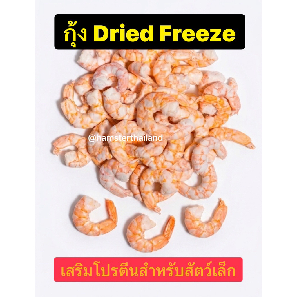 Hamsterthailand กุ้งอบแห้ง กุ้งยักษ์ กุ้ง Dried freeze ขนมแฮมสเตอร์ กุ้ง ขนมแฮมสเตอร์