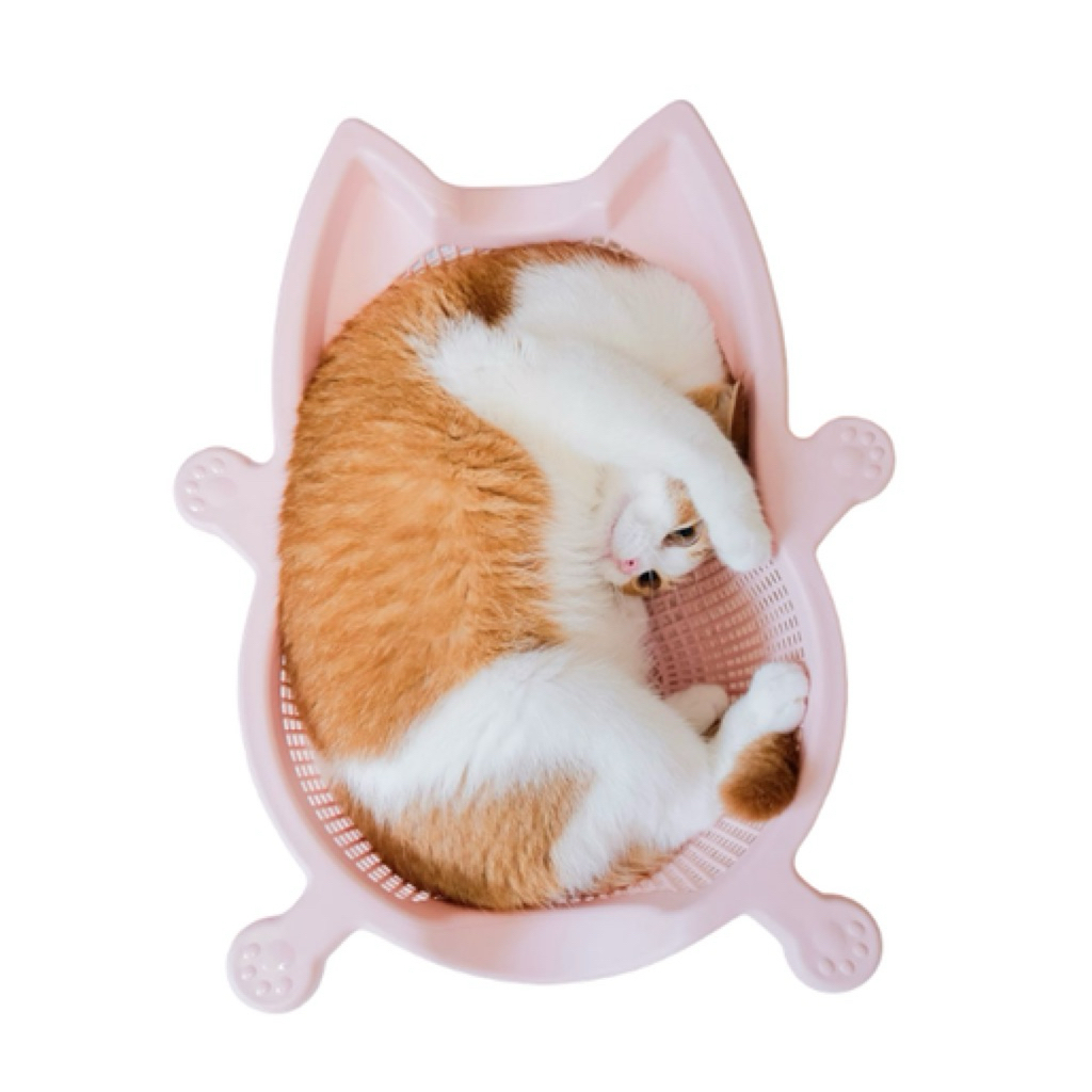 พร้อมส่ง ) ตะกร้าแมว Cat bang จากเกาหลี ของแท้100% ตะกร้าแมว + พร้อมฐาน