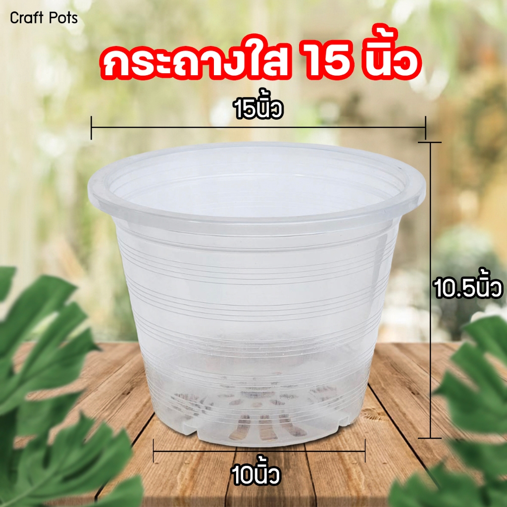 กระถางพลาสติกใส ขนาด 6,8,10,12 นิ้ว ราคาถูกๆ เกรดคุณภาพ พลาสติกเนื้อหนาแข็งแรง ทนทานใสจนเห็นรากทะลุกระถาง ju