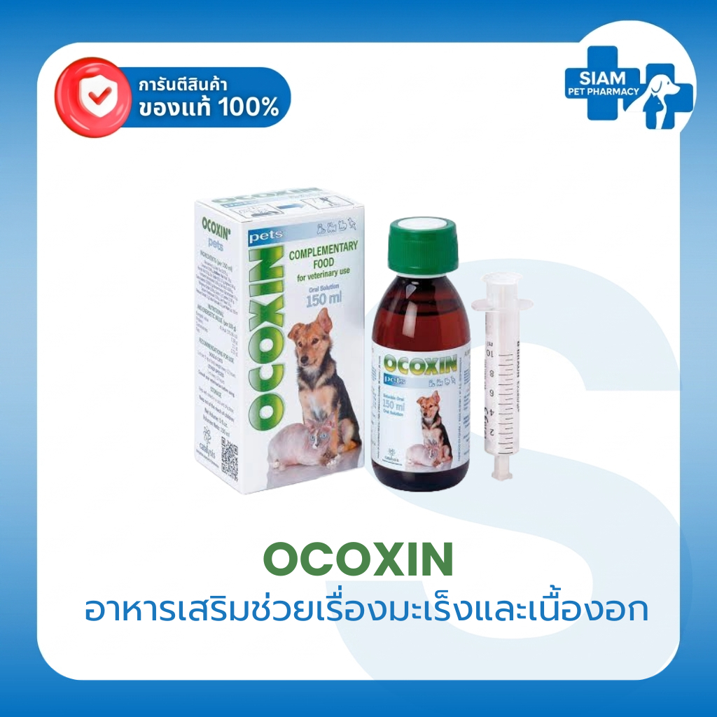 OCOXIN Pets อาหารเสริมสุนัขและแมว เสริมภูมิคุ้มกัน บำรุงร่างกาย สำหรับสัตว์เลี้ยง ของแท้ 100%