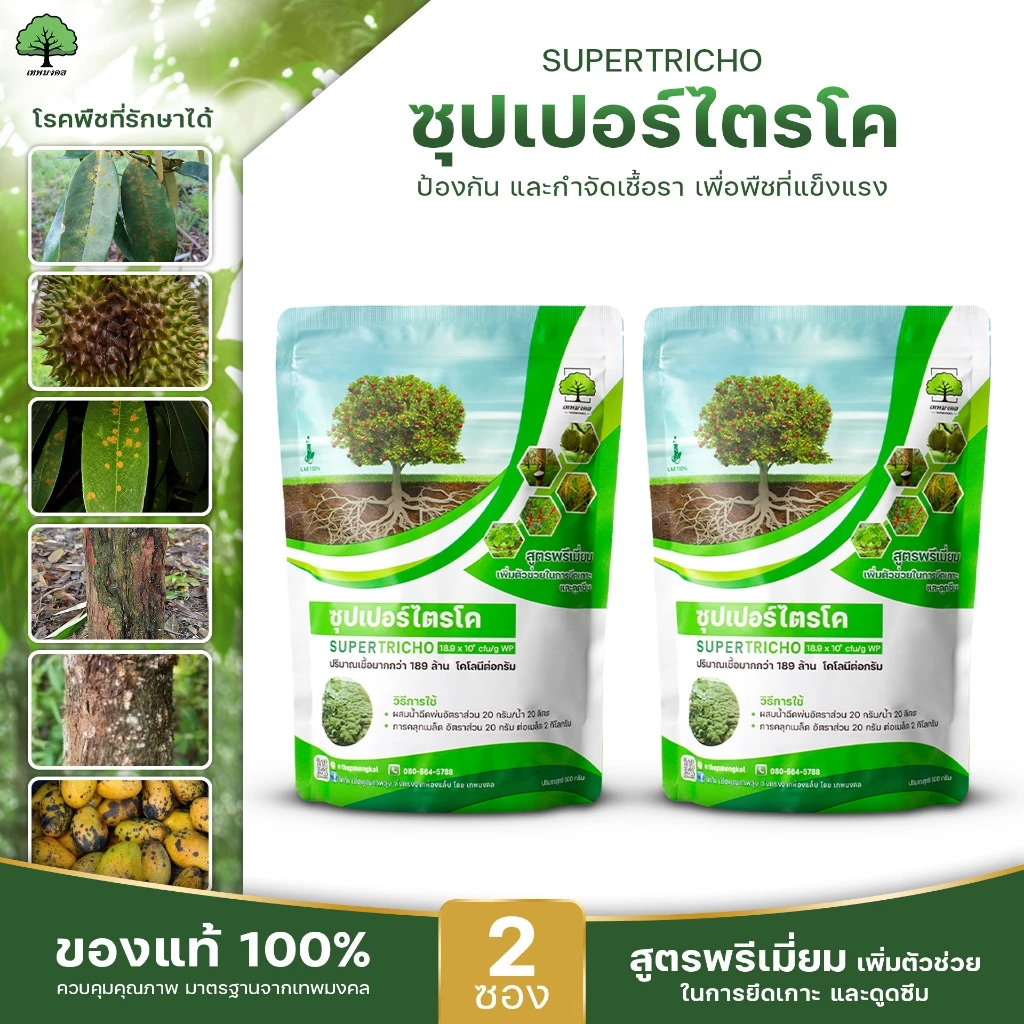 ซุปเปอร์ไตรโค ตราเทพมงคล แพ็ค 2 ซอง ไตรโคเดอร์มาป้องกันกำจัดเชื้อราโรคพืช ขนาด 500 กรัมต่อซอง ชนิดผง