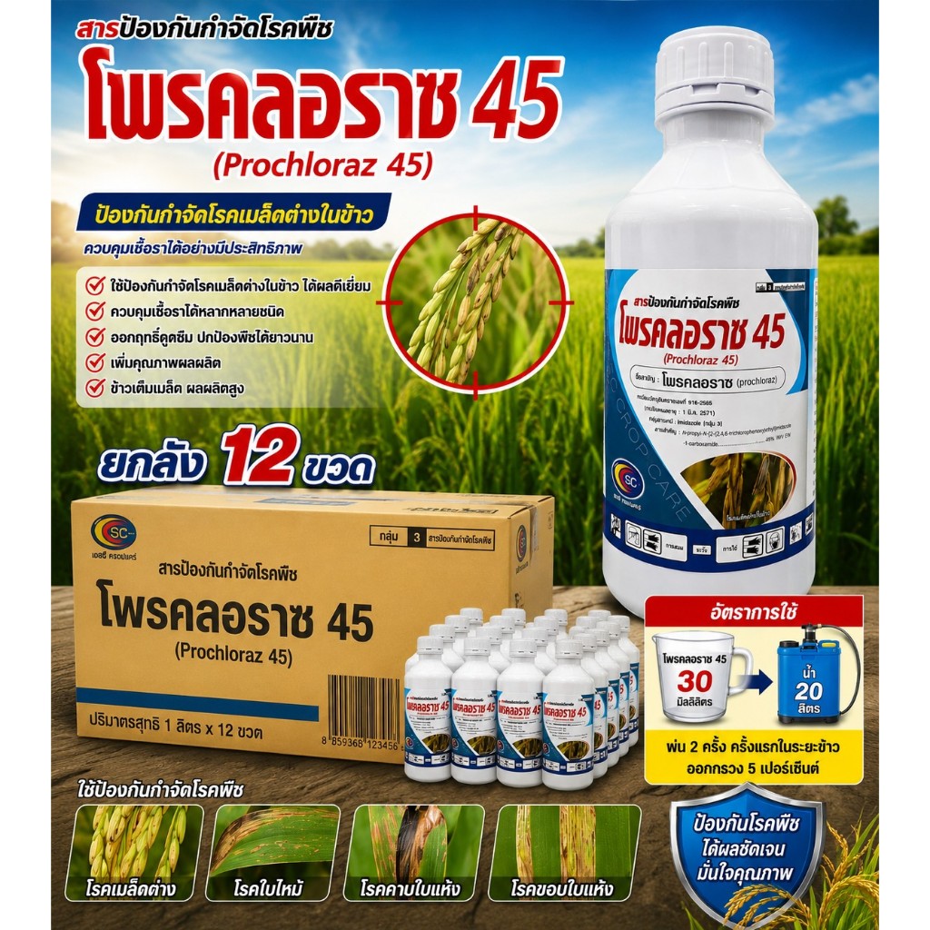 โพรคลอราซ ยกลัง 12 ขวด ขนาด 1 ลิตร ตราเอสซี สูตรเย็น ป้องกันโรคพืช แอนแทรคโนส ผลเน่า โพรคลอราช 45%EW