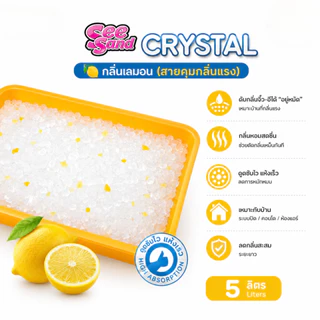 Pet8 ทรายแมวคริสตัล See Sand Crystal 5 ลิตร ดูดซับไว ดับกลิ่นไว ไร้ฝุ่น ไม่เป็นโคลน เหมาะคอนโด พร้อมส่ง