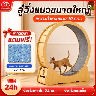 😺 ลู่วิ่งแมว ล้อวิ่งกีฬาไม้เนื้อแข็ง ล้อวิ่งแมว ขนาดใหญ่ ที่ออกกำลังกายสัตว์เลี้ยง ออกกำลังกาย 4.0