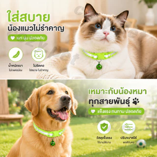 ปลอกคอแมวสะท้อนแสง พร้อมกระดิ่ง 🔔 ปลอดภัยตอนกลางคืน ไนลอนนุ่ม ปรับขนาดได้ ไม่รัดคอ สำหรับแมวและสุนัข