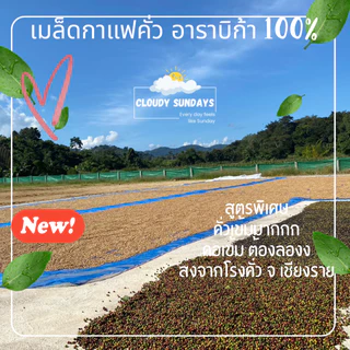 เมล็ดกาแฟอาราบิก้า 500g. เข้มมาก และ กลางเข้ม หอมควัน กลิ่นหอมเข้มข้น รสชาติเข้มๆ กาแฟคั่ว จากเชียงราย เมล็ดกาแฟคั่ว