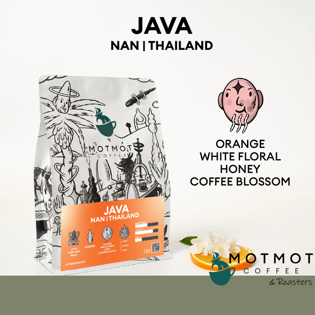 Java Nan Thailand | เมล็ดกาแฟสายพันธุ์ จาวา น่าน กาแฟคั่วสด MOTMOT COFFEE
