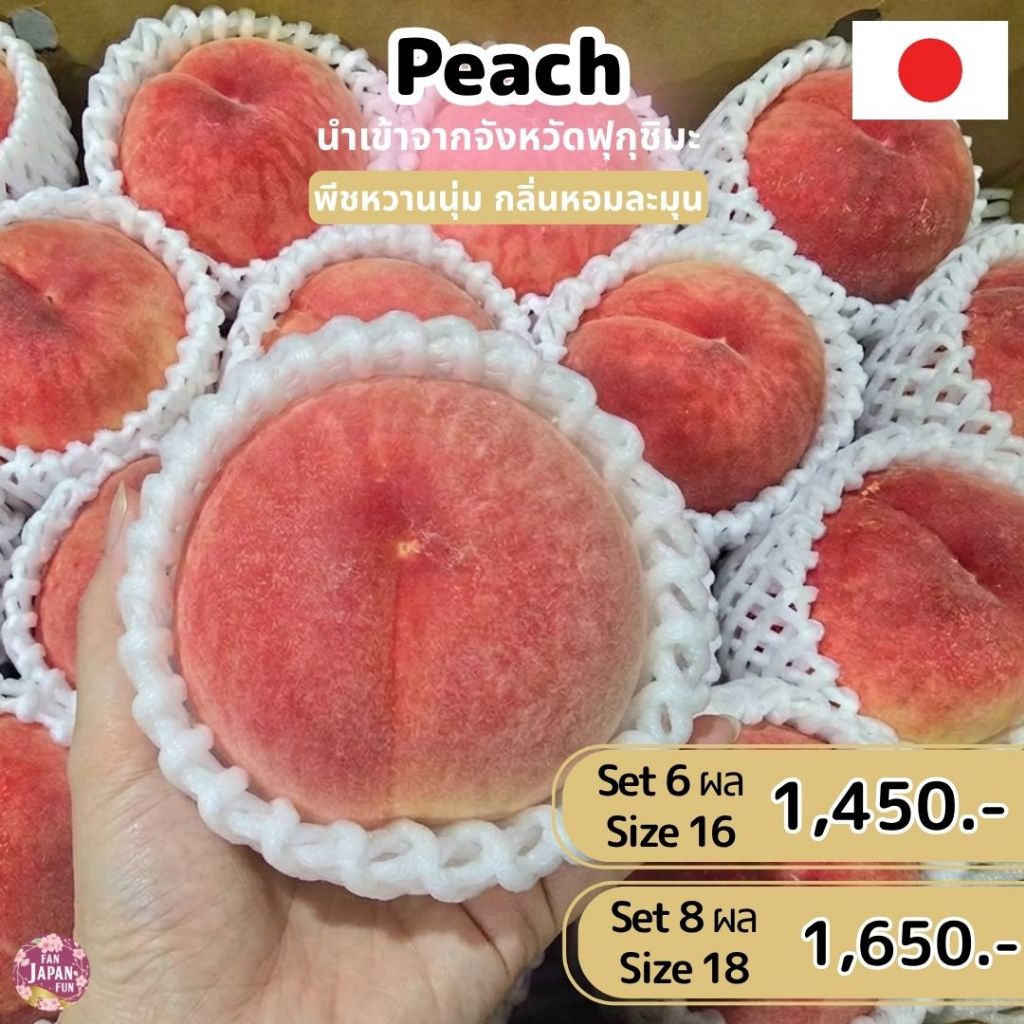 ๋Japanese  Peach พีชญี่ปุ่น