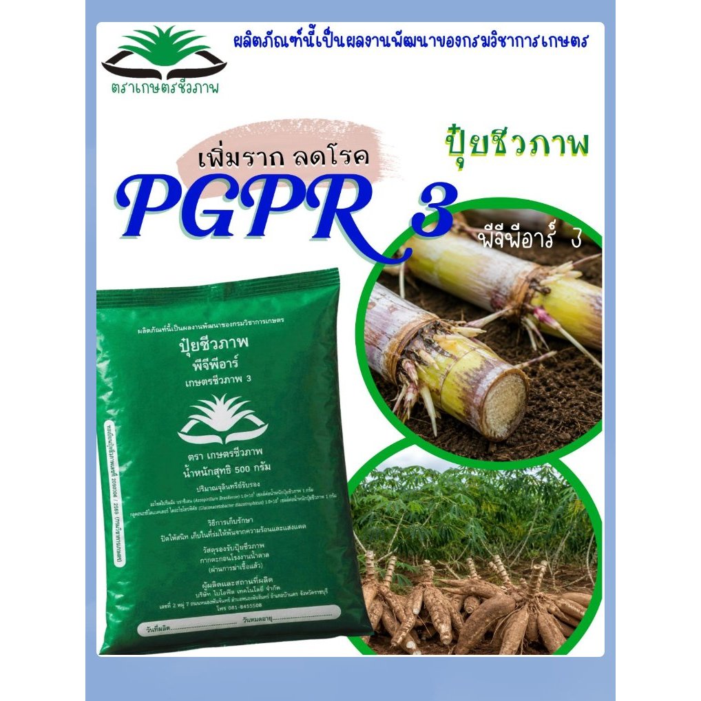 PGPR 3 สำหรับไร่มัน ไร่อ้อย