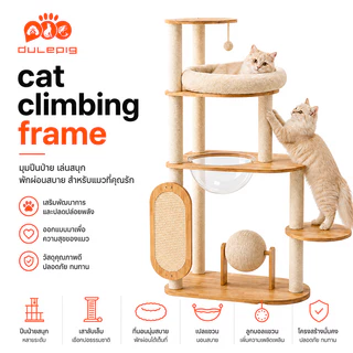 ไม้แมวคอนโดแมว ตัวคอนโดแมวใหญ่ กรอบปีนแมว โครงปีนแมว คอนโดแมว cat tree tower พร้อมโดมนอนแบบใส บ้านแมว condoแมว ทนทาน
