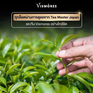 Yame Matcha Ceremonial Grade Vismores มัทฉะเกรดพิธีการ Yuki 30 g.