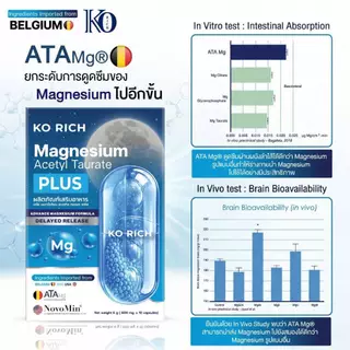 [ ตะกร้า บริษัท ]แมกนีเซียม เคโอริช Magnesium Ko Rich