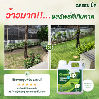 Green up บำรุงหญ้า เร่งหญ้าเขียว แก้หญ้าเหลือง ปุ๋ยสนามหญ้า สำหรับหญ้าทุกสายพันธุ์ ใบเขียว แข็งแรง