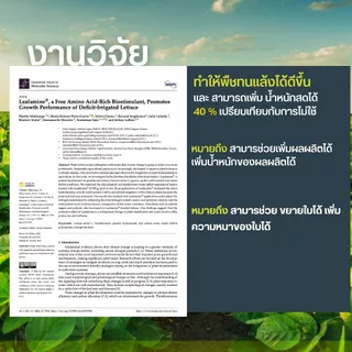 มหิงสา อะมิโนพืช กรดอะมิโนอิสระ สกัดเข้มข้น 49% ส่งเสริมให้พืชดูดซึมอาหารได้ดี ทำให้พืชเจริญเติบโตดี