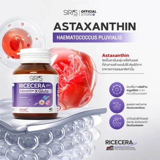 วิตามินผิว 40 เม็ด RICECERA Plus Astaxanthin X Gluta ไรซ์เซร่า พลัส แอสต้าแซนธิน-กลูต้าแท้